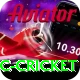 uc cricket Max v3.1.0