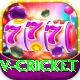 v cricket Deluxe Pro v5.9.2
