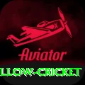 willow cricket Pro Max v3.8.6