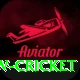 willow cricket Pro Max v3.8.6