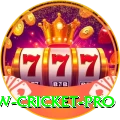 willow cricket Prime v4.1.9