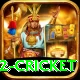 world cup 2022 cricket Deluxe Pro v4.1.2